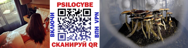 Галлюциногенные грибы ЛСД  Купить где  Дрезна 